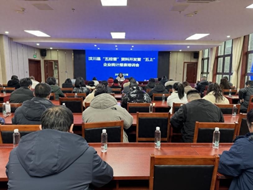 汶川县统计局如何夯实统计基层基础，解锁数据质量提升密码？
