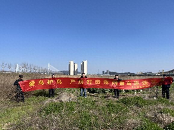 普陀区联合多部门开展张网捕鸟专项治理，你猜结果如何？  第1张
