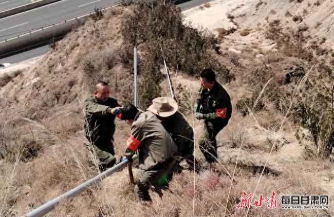 兰州市城关区如何用智慧化管护机制打造生态绿网？2000亩造林成果曝光