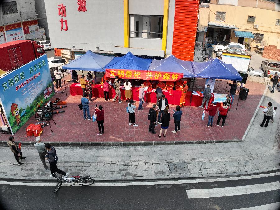 清明祭祀新风尚，如何守护我们的绿色家园？  第1张