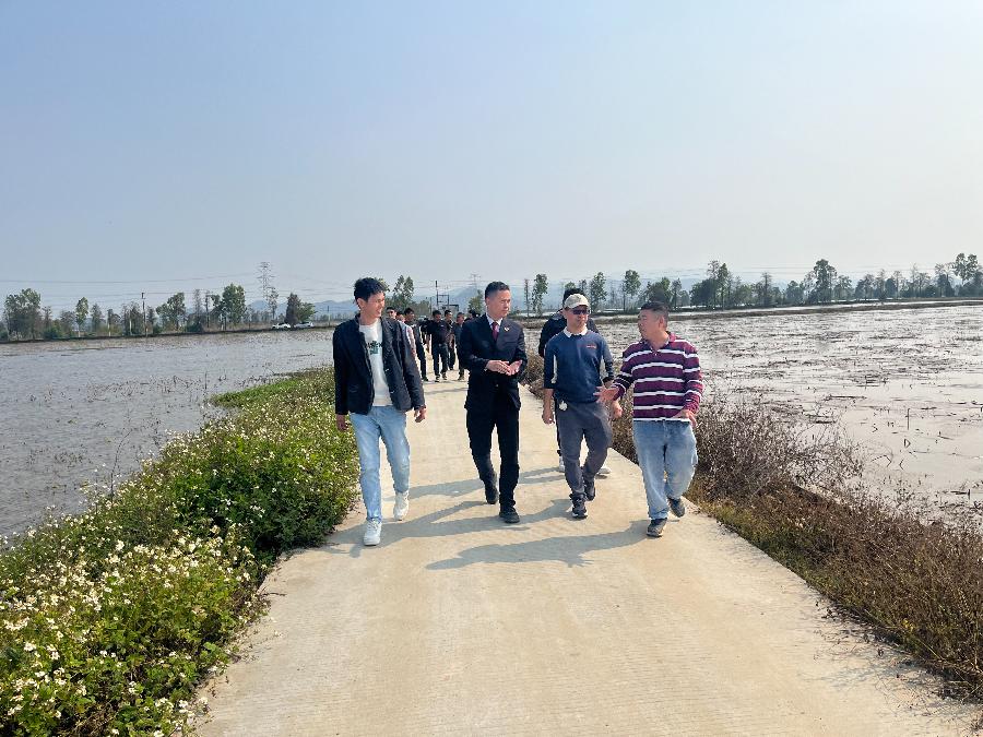 2025年台山市重拳出击，野生动植物非法贸易将何去何从？  第5张