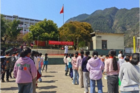 野生蘑菇竟如此致命！你知道误食后的后果有多严重吗？