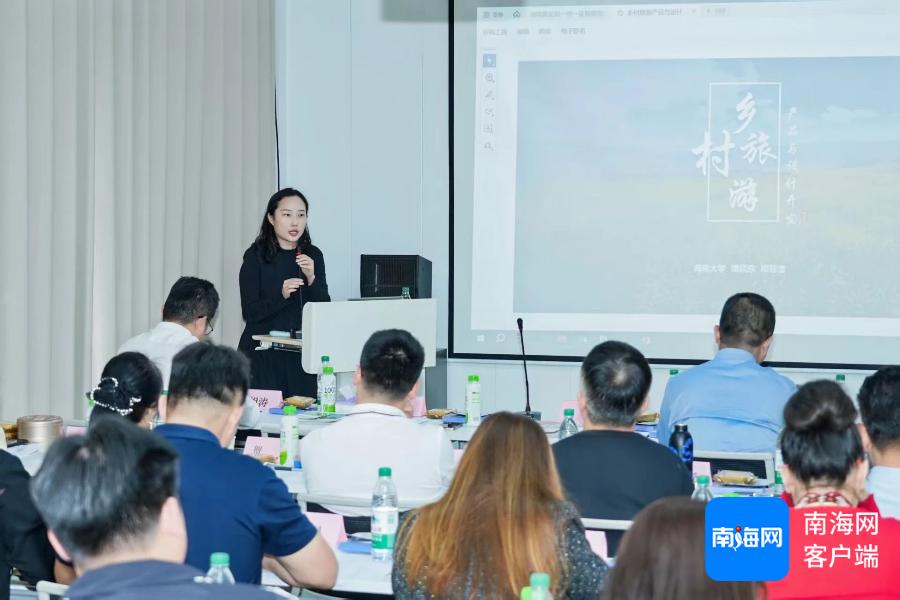 海南乡村旅游商品如何创新？这场研讨会揭秘高质量发展新路径  第2张