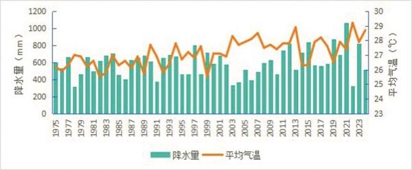 宁波夏季气候大变脸！高温日数创历史峰值，未来还会更热吗？  第2张