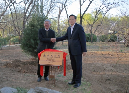 中泰建交50周年，鲁泰友谊树为何在泉城公园扎根？  第2张