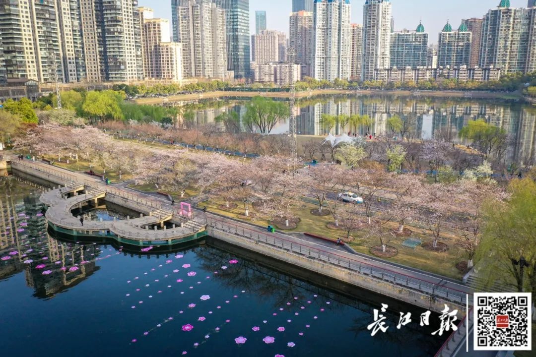 春天还没走，夏天就来了！武汉气温飙至32℃，你准备好了吗？  第2张