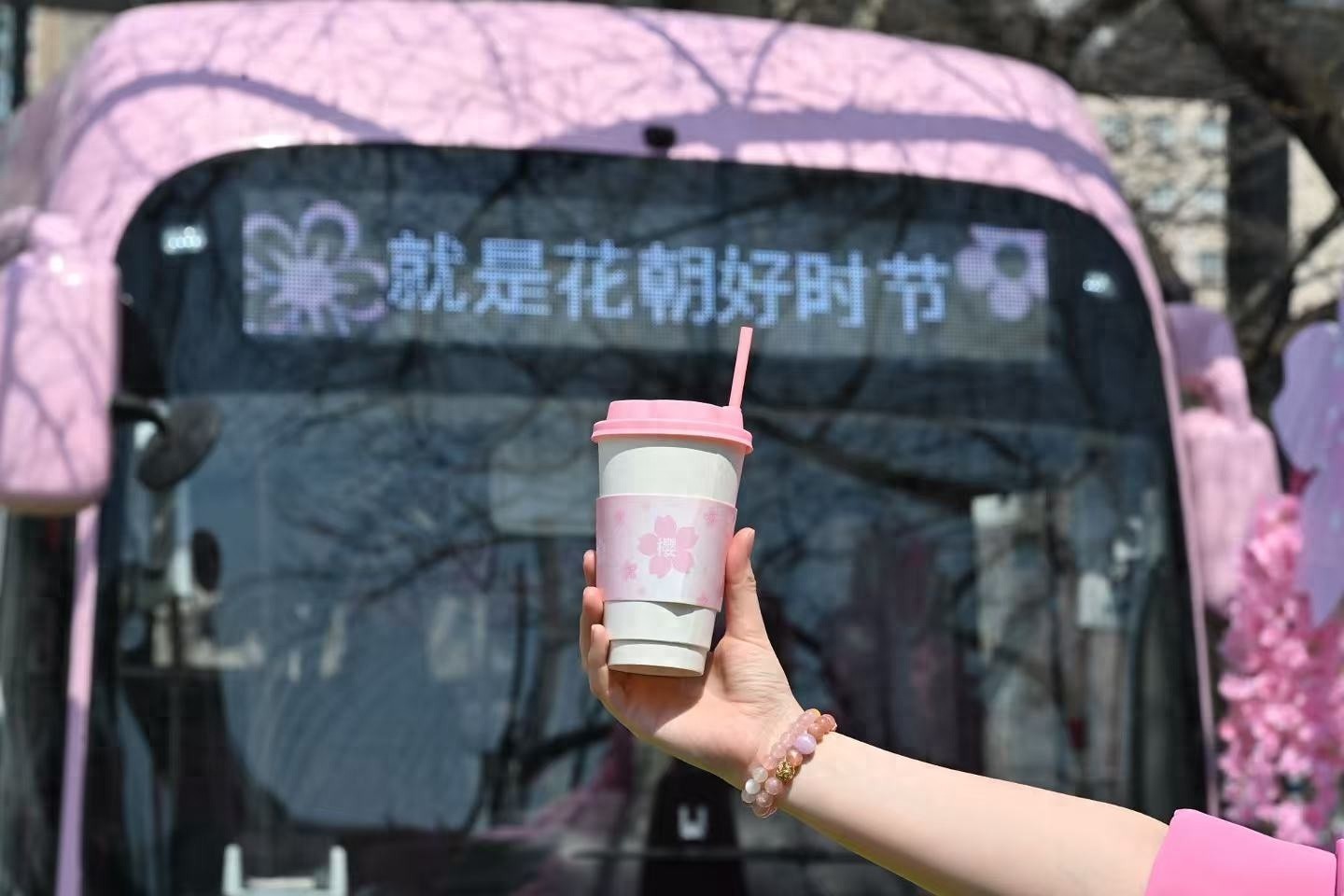 南浦大桥公交枢纽竟然变身樱花咖啡馆？！快来体验这场春日盛宴