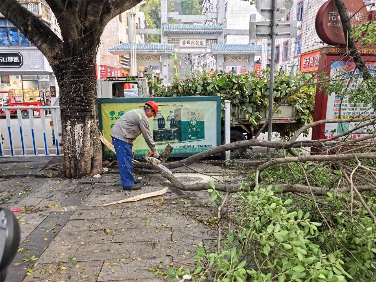 狂风暴雨突袭金城江！园林处21人紧急出动，他们是如何在3小时内恢复城市运转的？