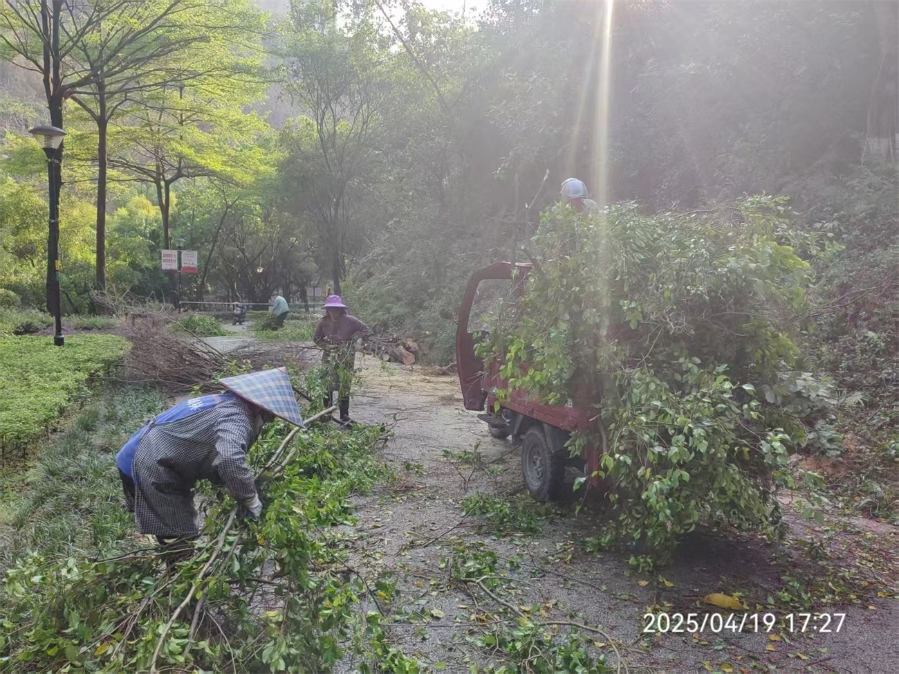 狂风暴雨突袭金城江！园林处21人紧急出动，他们是如何在3小时内恢复城市运转的？  第2张