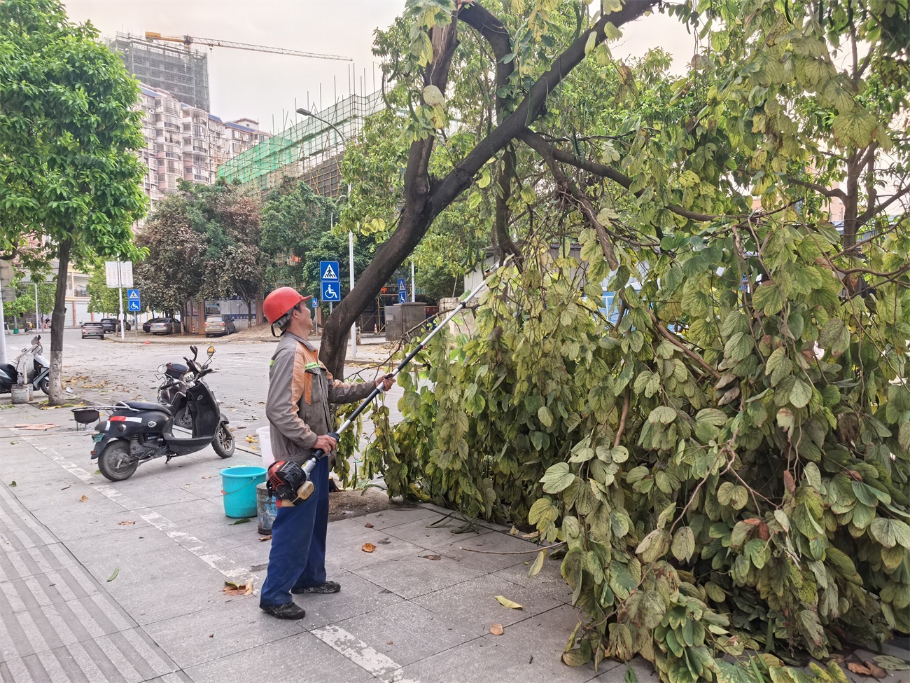 狂风暴雨突袭金城江！园林处21人紧急出动，他们是如何在3小时内恢复城市运转的？  第4张