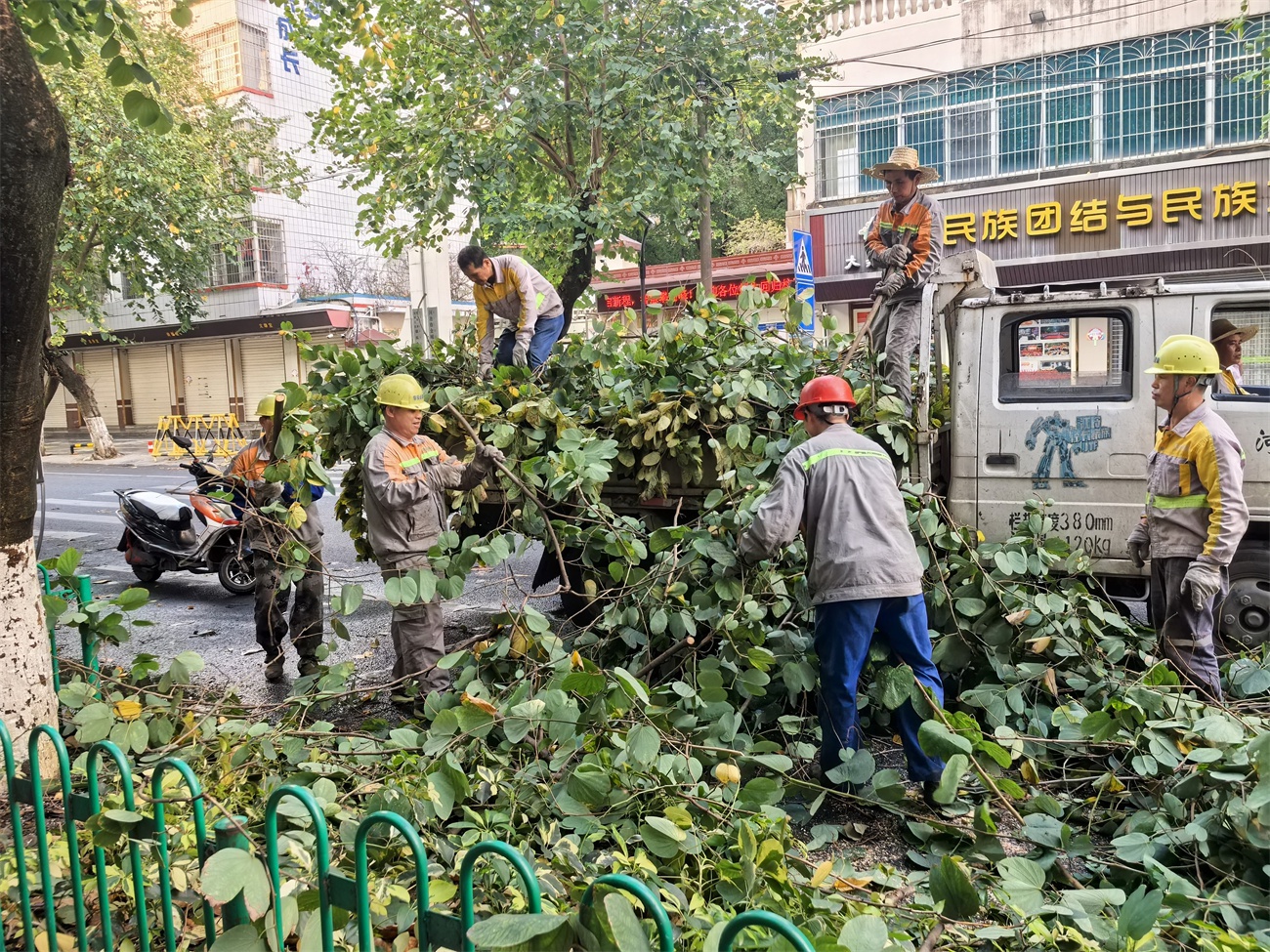 狂风暴雨突袭金城江！园林处21人紧急出动，他们是如何在3小时内恢复城市运转的？  第5张