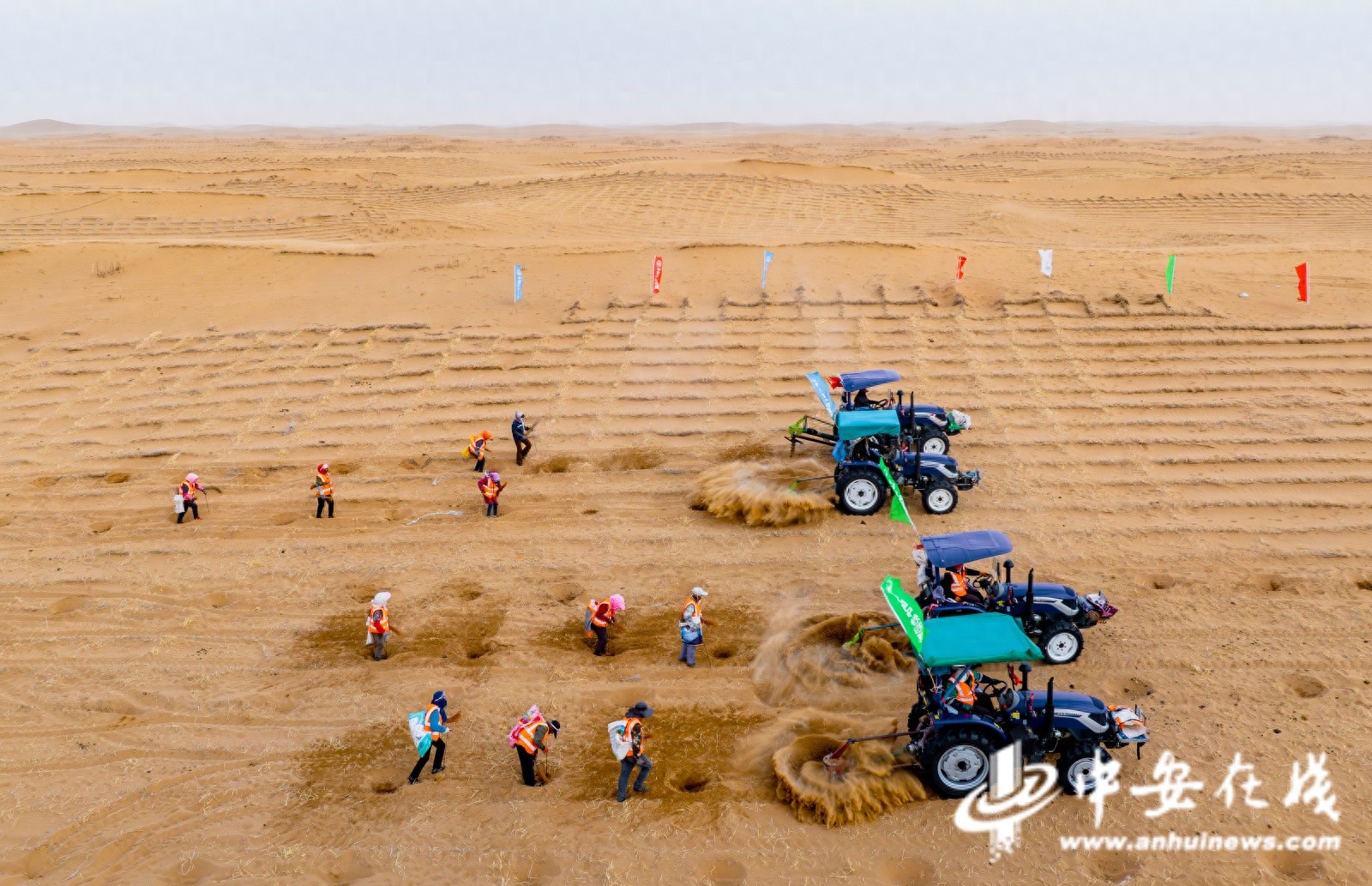 沙漠变绿洲？4000名建设者如何在腾格里沙漠创造生态奇迹