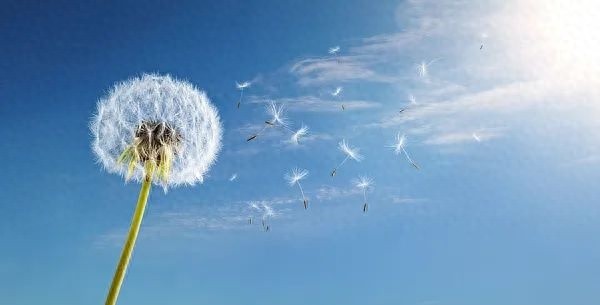 辽宁天气大反转！今天出门穿什么才能应对这突如其来的降温？