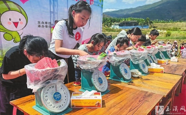 外地游客为何连续两年夺冠？撮科西瓜节吃瓜大赛引爆欢乐热潮