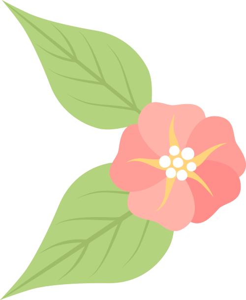 00后大学生刘丰宁:一个人的力量微薄,但能让一朵花绽放的春天更美丽吗? 第5张 00后大学生刘丰宁:一个人的力量微薄,但能让一朵花绽放的春天更美丽吗? 第5张