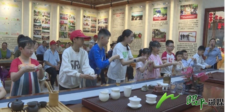亲子采茶乐翻天！昭平茶文化研学活动让孩子爱上传统茶艺