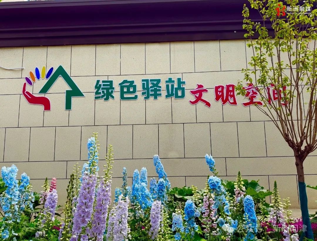 废旧轮胎变创意花盆？20名小艺术家用画笔唤醒环保新生命  第2张