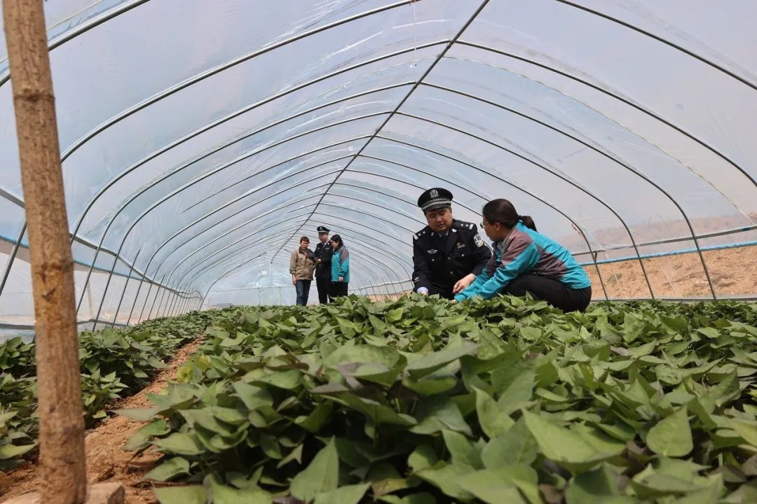 警务背包走村入户，民警变身移动服务站！这样的便民服务你见过吗？  第6张