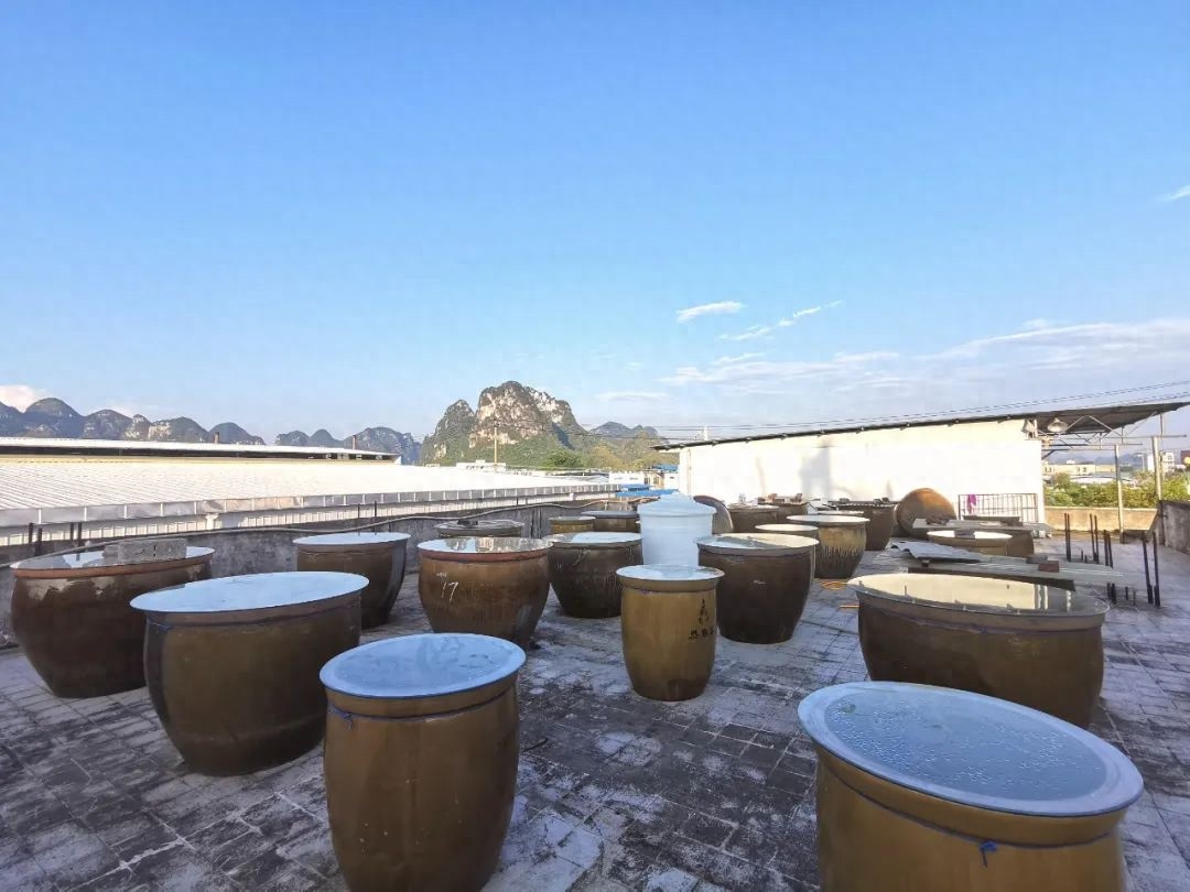 小厂就该将就？宜州这家酱油厂用行动颠覆你的认知  第1张