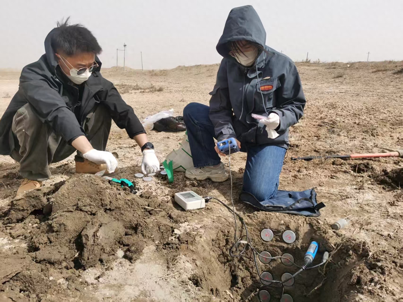 包头黄河湿地生态监测大揭秘！80组水质数据、196组土壤指标背后隐藏了什么？  第1张