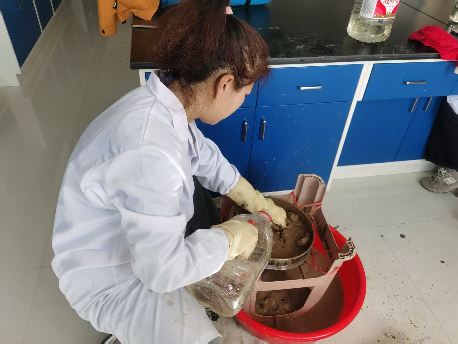 包头黄河湿地生态监测大揭秘！80组水质数据、196组土壤指标背后隐藏了什么？  第3张