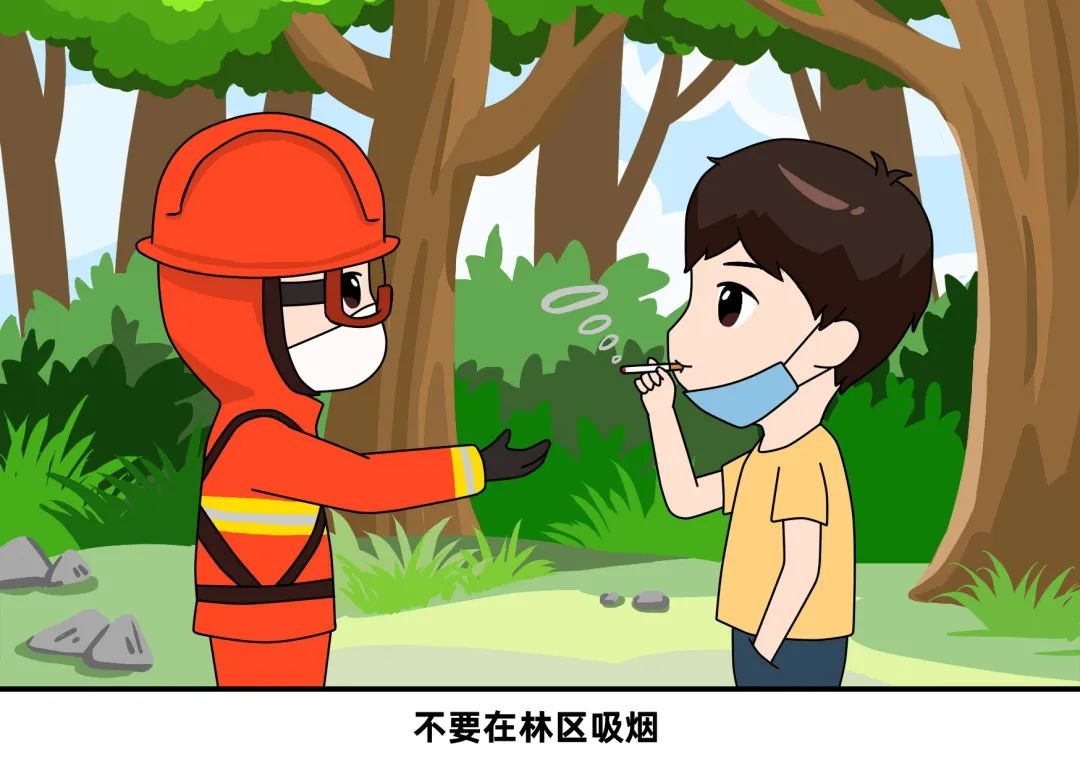 森林防火人人有责！这些致命疏忽你还在犯吗？  第2张