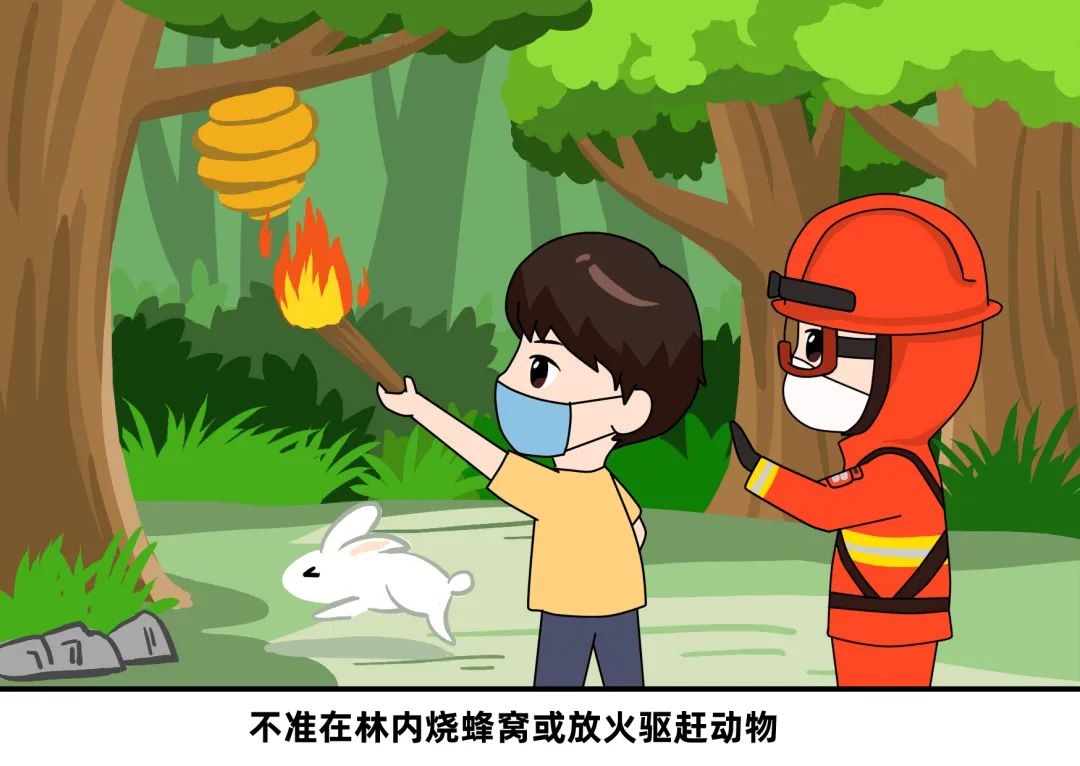 森林防火人人有责！这些致命疏忽你还在犯吗？  第6张