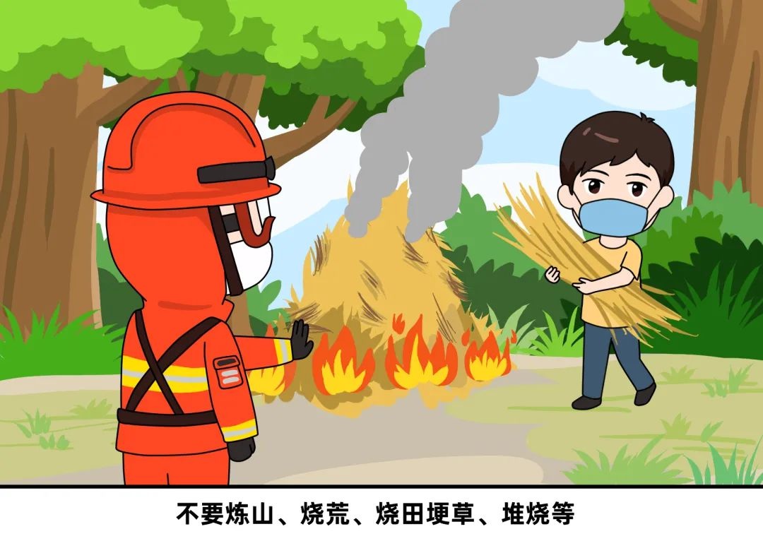 森林防火人人有责！这些致命疏忽你还在犯吗？  第7张