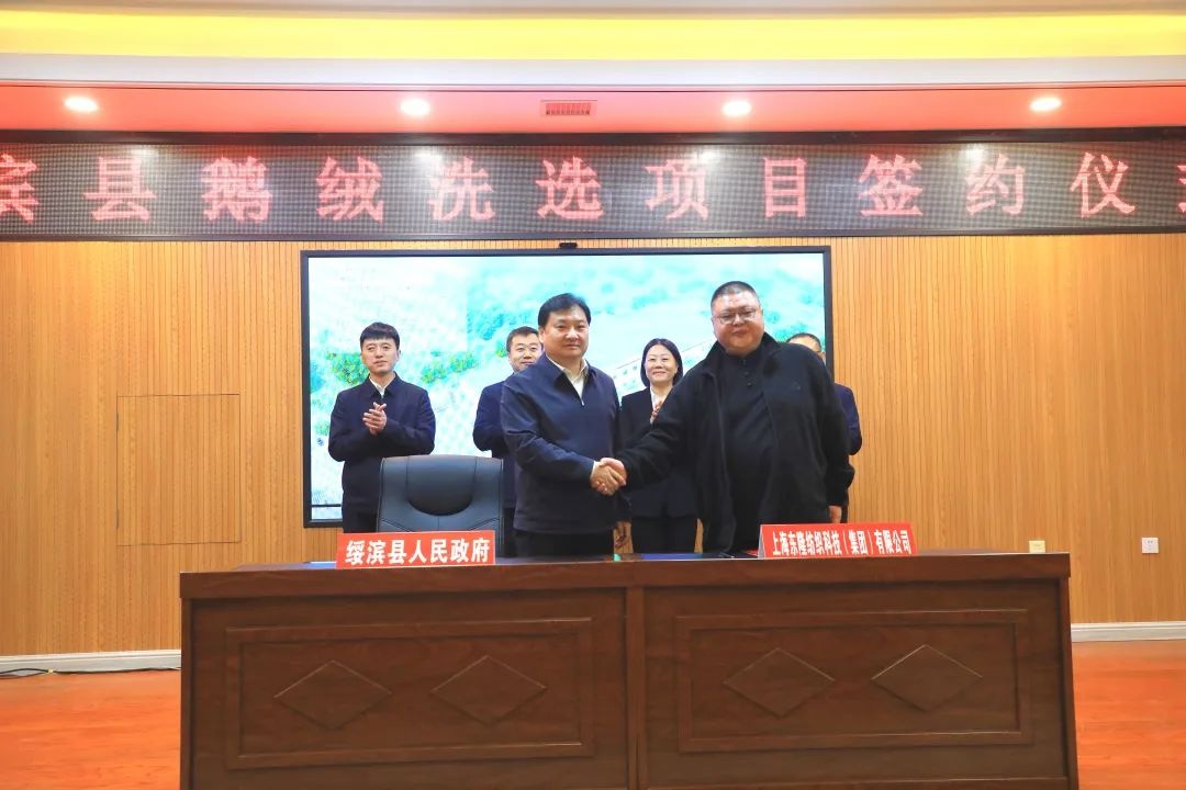 绥滨县携手上海东隆集团，打造鹅绒产业新标杆！未来羽绒市场将迎来怎样巨变？  第5张