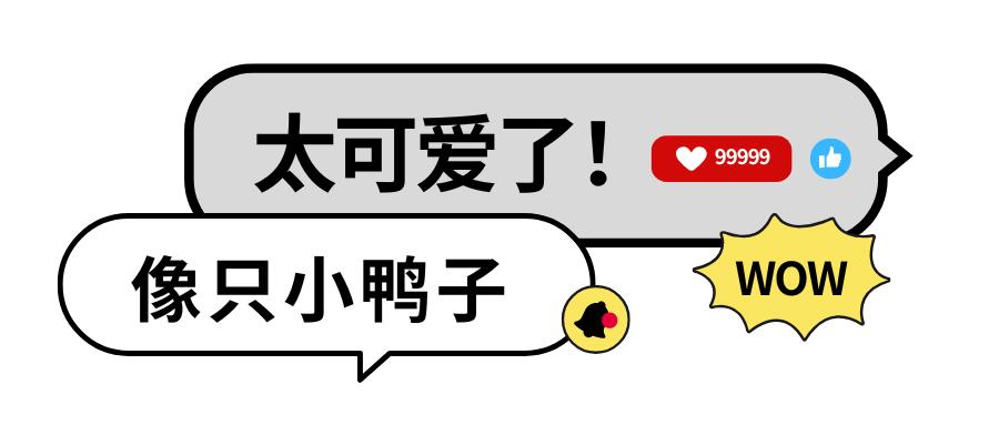 2025年首只丹顶鹤宝宝全球亮相！呆萌甜酷瞬间萌化你的心，你见过这么可爱的鹤宝宝吗？  第5张