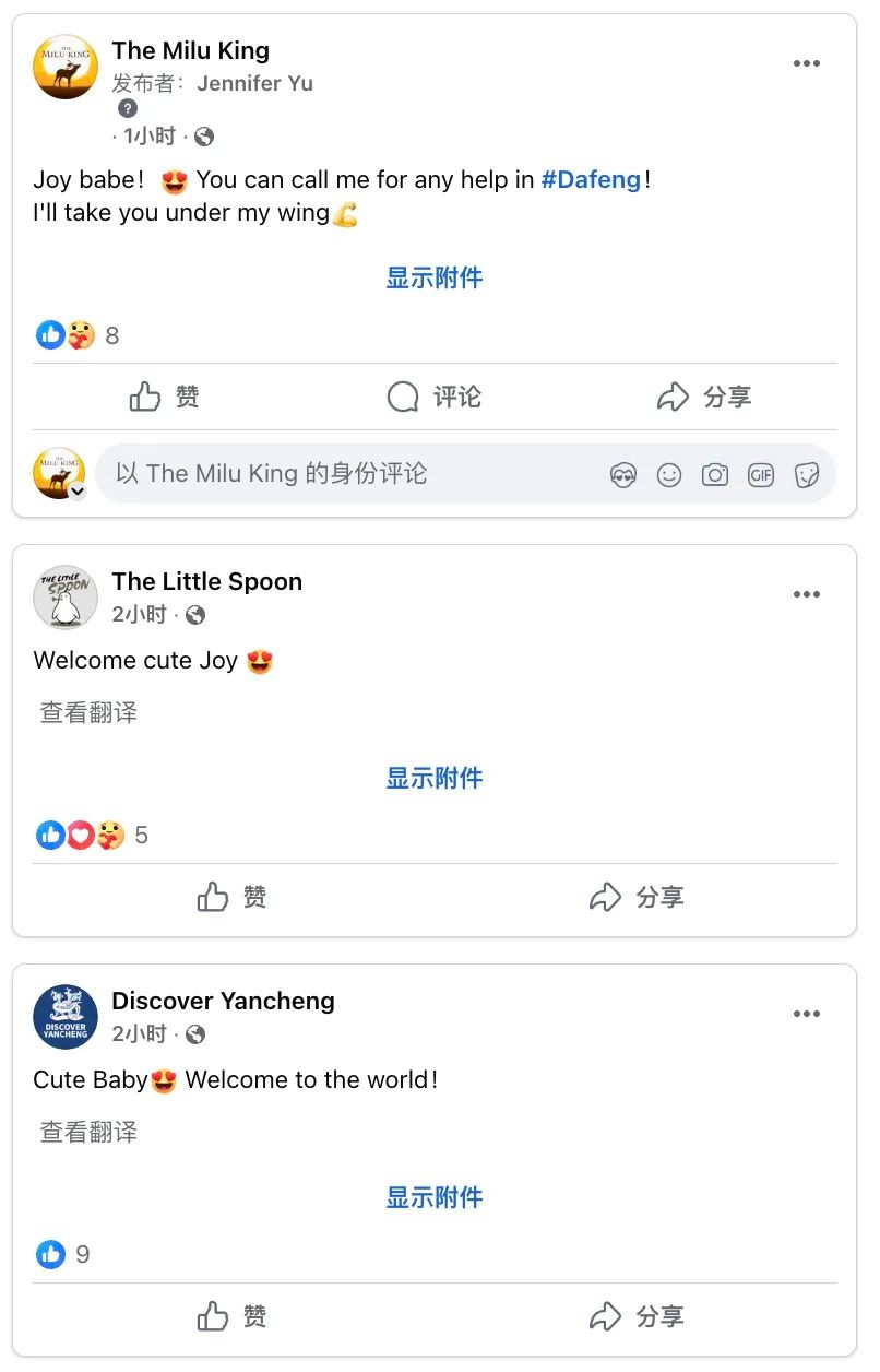 2025年首只丹顶鹤宝宝全球亮相！呆萌甜酷瞬间萌化你的心，你见过这么可爱的鹤宝宝吗？  第7张