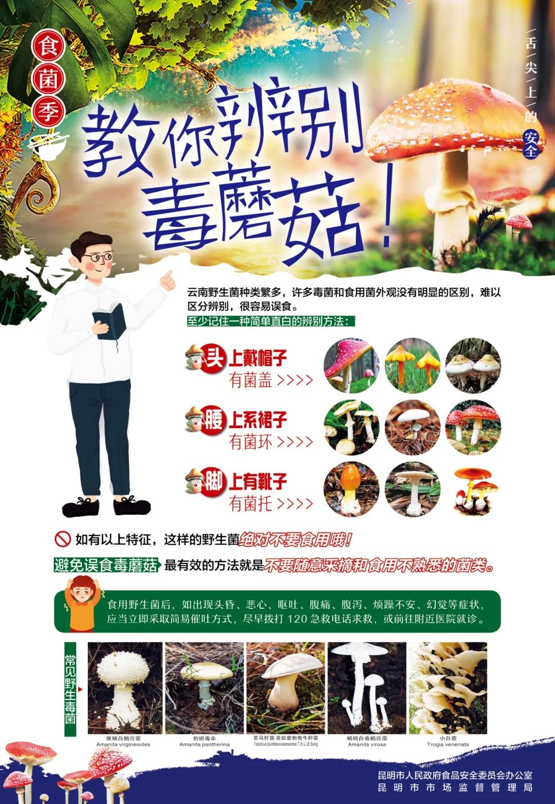 雨季野生菌旺季来临！如何防范中毒？这些要点你知道吗  第2张