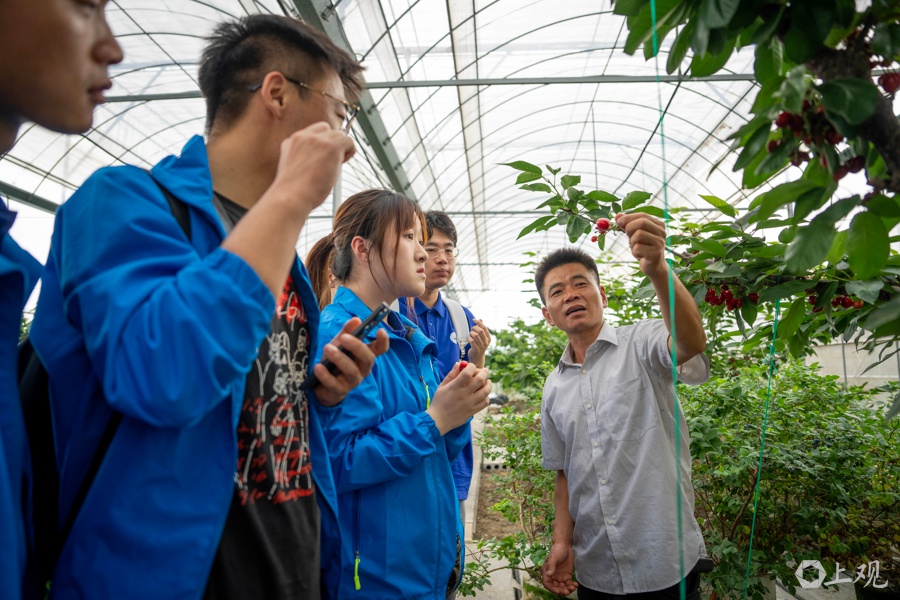 小龙虾曾是夜宵霸主，如今价格暴降近50%，背后原因究竟为何？  第4张