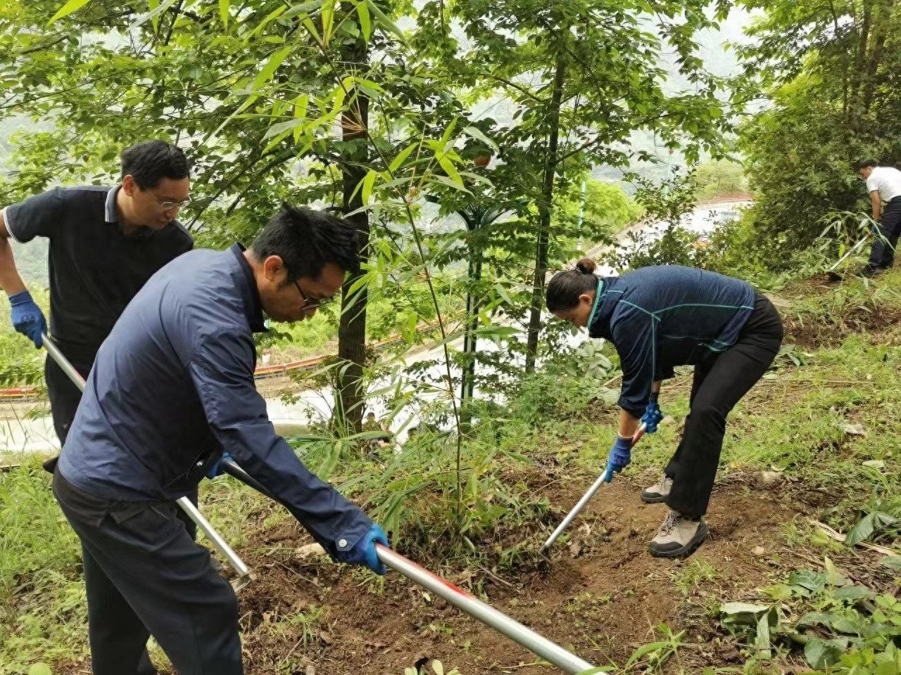5月20日福贡县开展全民义务植树节活动？这背后有何深意