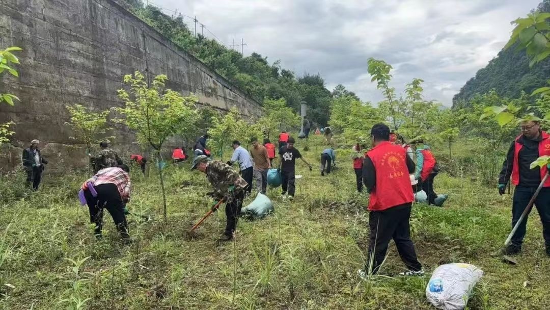 5月20日福贡县开展全民义务植树节活动？这背后有何深意  第3张