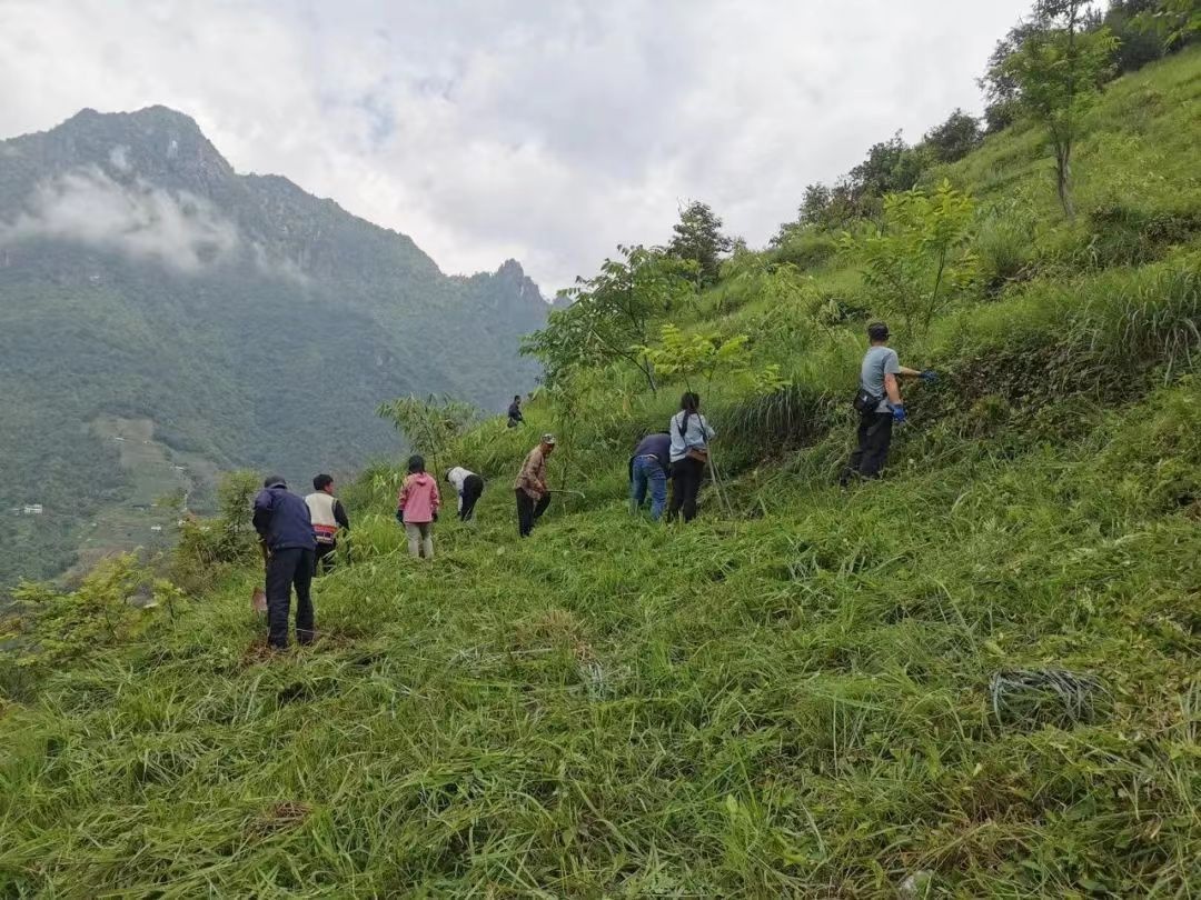 5月20日福贡县开展全民义务植树节活动？这背后有何深意  第4张