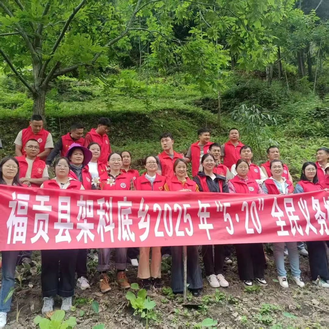 5月20日福贡县开展全民义务植树节活动？这背后有何深意  第5张
