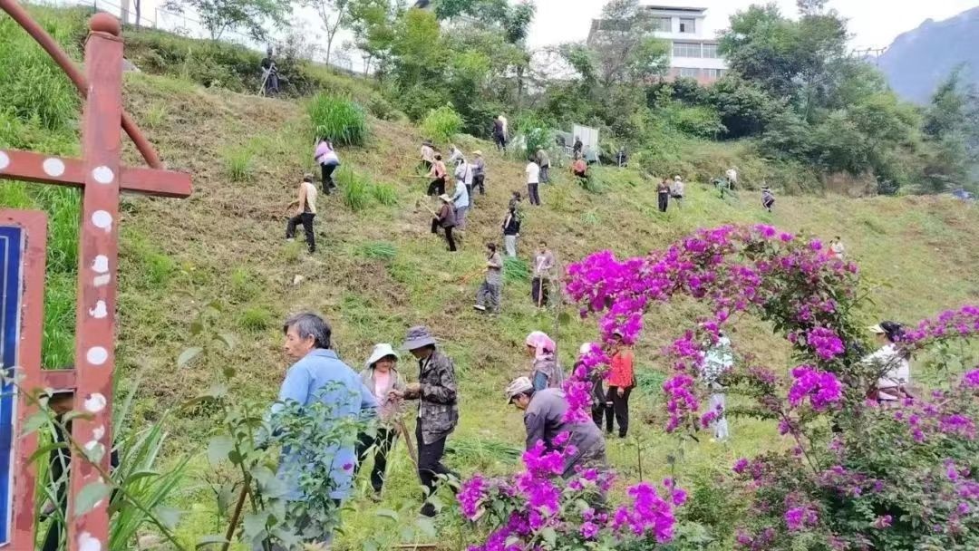 5月20日福贡县开展全民义务植树节活动？这背后有何深意  第7张