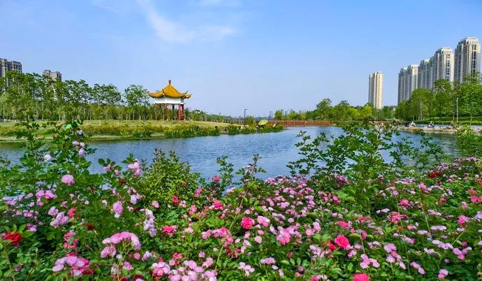 2300多年前魏惠王凿鸿沟，如今贾鲁河如何续写传奇？  第2张