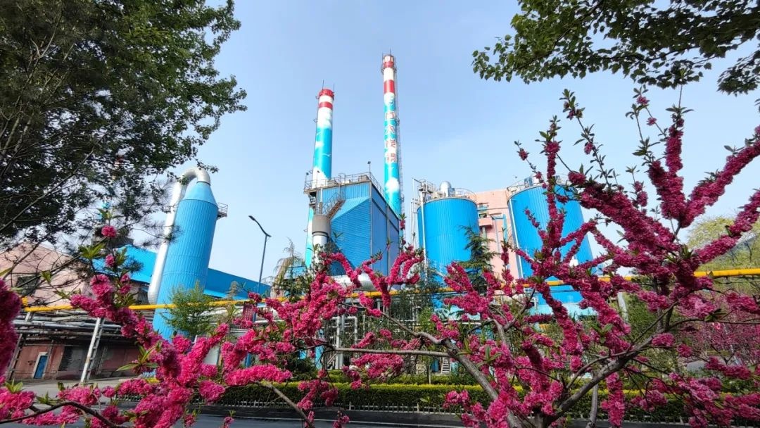5月走进方大炭素厂区，这工业与自然共生的景象有多震撼？  第2张