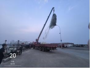 休渔期竟有人非法捕捞？盘锦市清网行动全力守护渔业资源  第4张