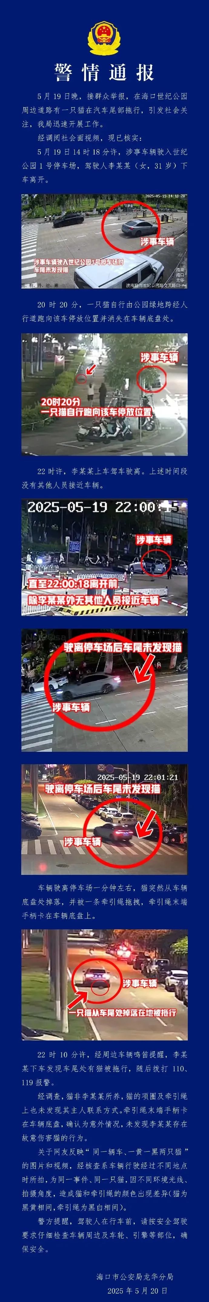 海口汽车拖猫事件后三人造谣传谣！他们为何如此胆大妄为？  第2张