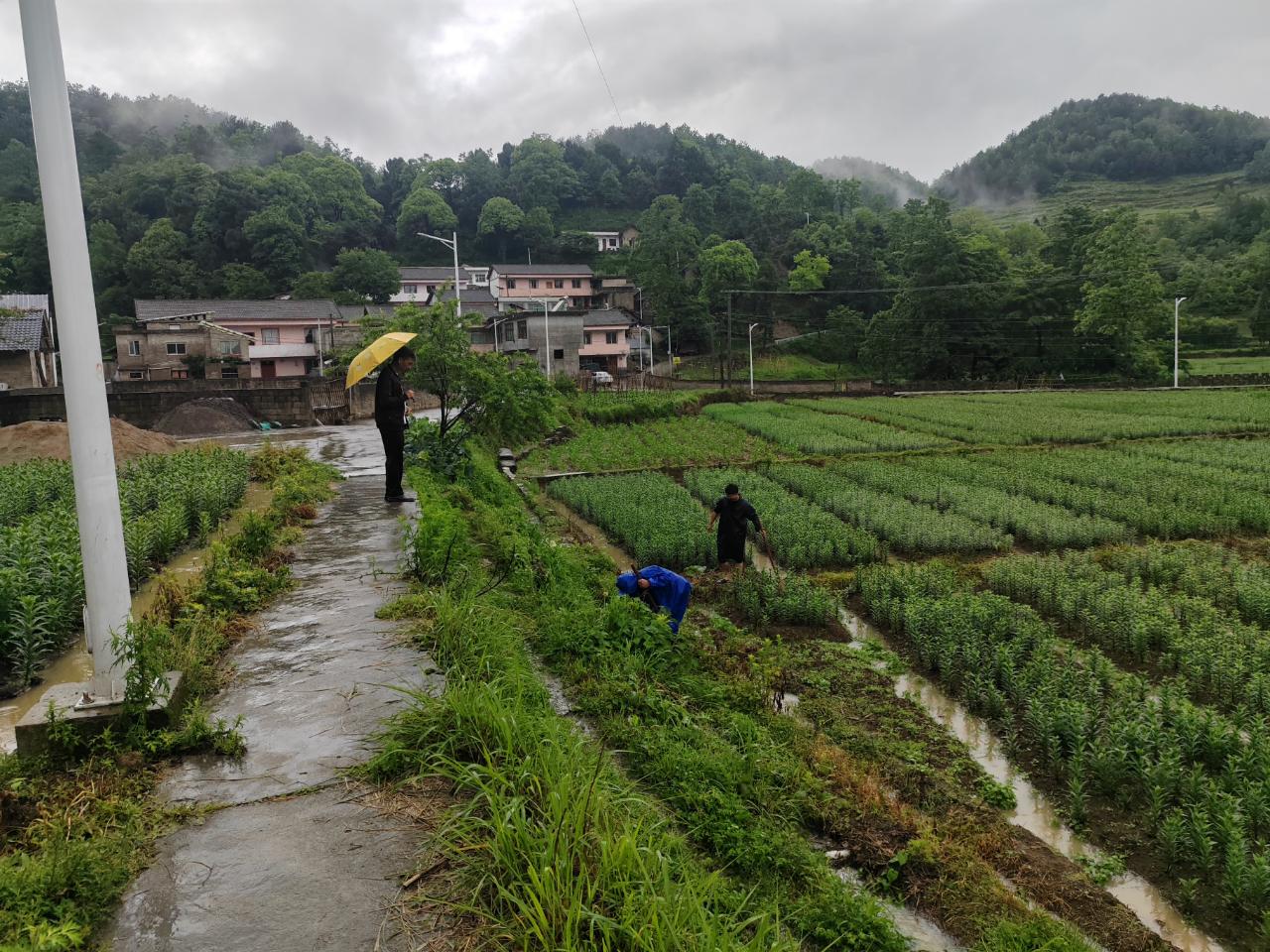 5月20日23时起息烽部分地区遇强降雨！防汛形势究竟如何？  第6张