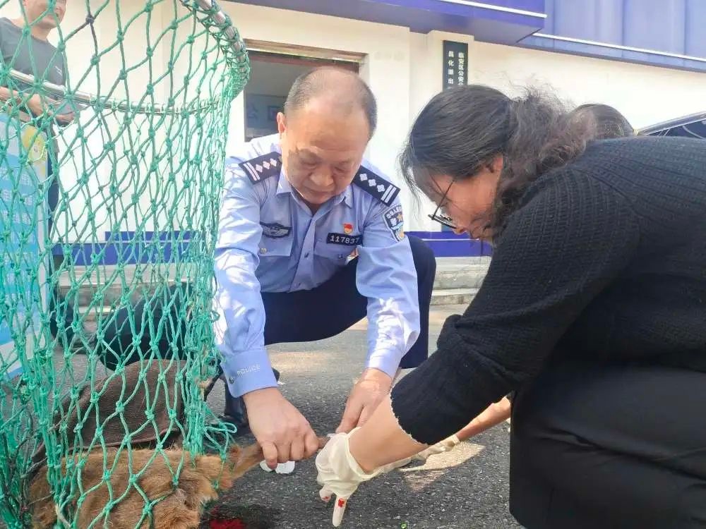5月22日国际生物多样性日，杭州凭啥在全球案例中占4个？  第3张