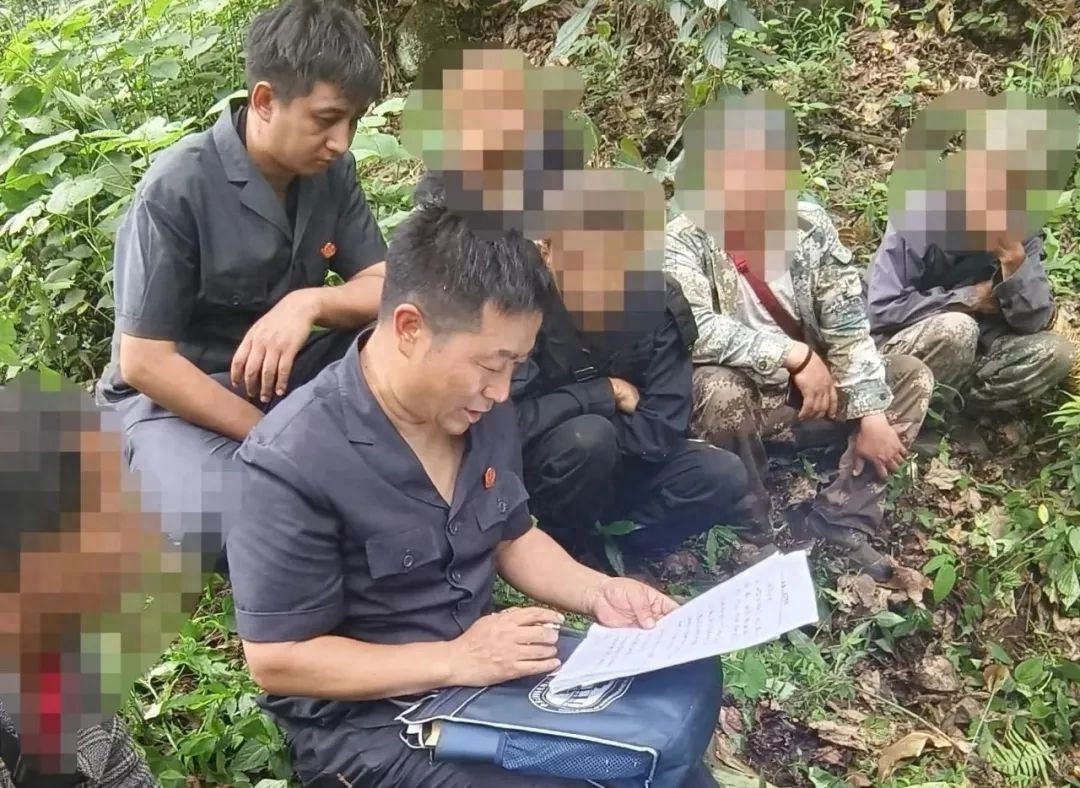 同村亲戚因合伙种草果起纠纷闹上法庭，最终结局令人意外？