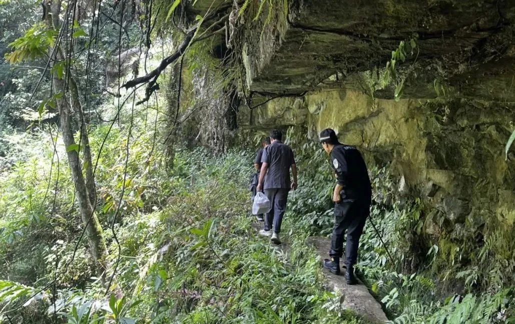 同村亲戚因合伙种草果起纠纷闹上法庭，最终结局令人意外？  第2张