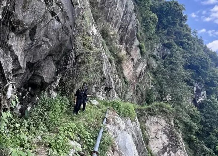 同村亲戚因合伙种草果起纠纷闹上法庭，最终结局令人意外？  第4张