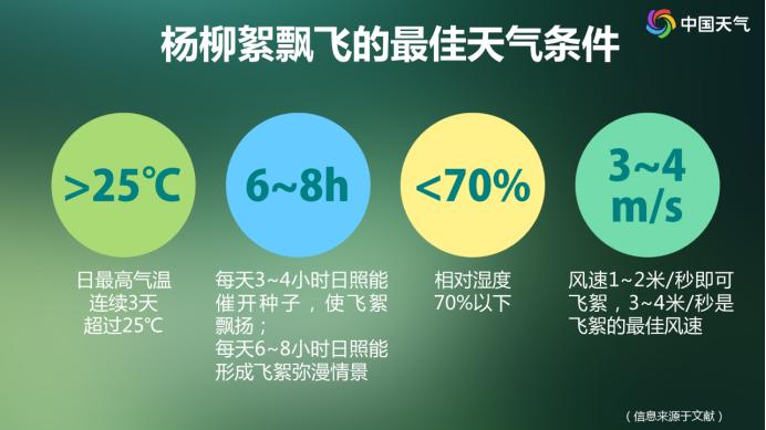 气温攀升，杨柳飞絮来袭！飞絮高发时段你知道吗？致敏的真是它？  第2张