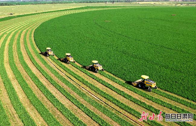 武威市及古浪县、凉州区再获全省评价激励！1100万元激励资金背后啥情况？  第2张