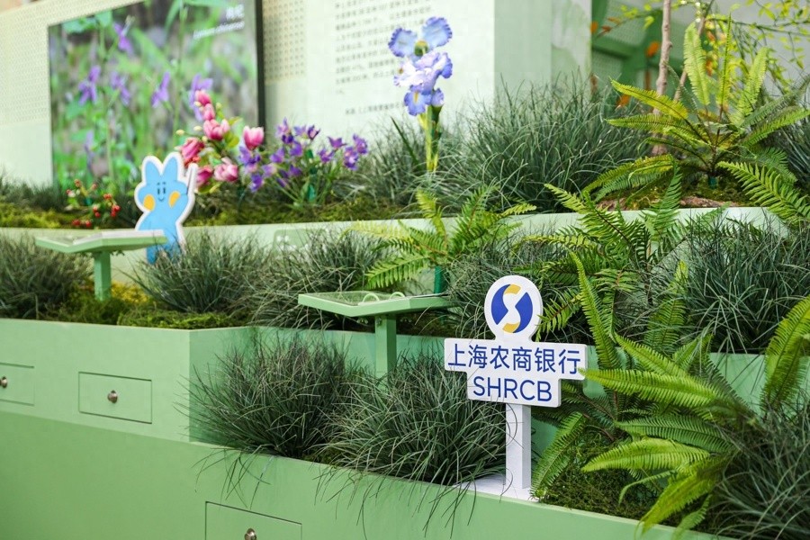 上海首个社区生境花园建设管理指南发布！运维难题咋解？